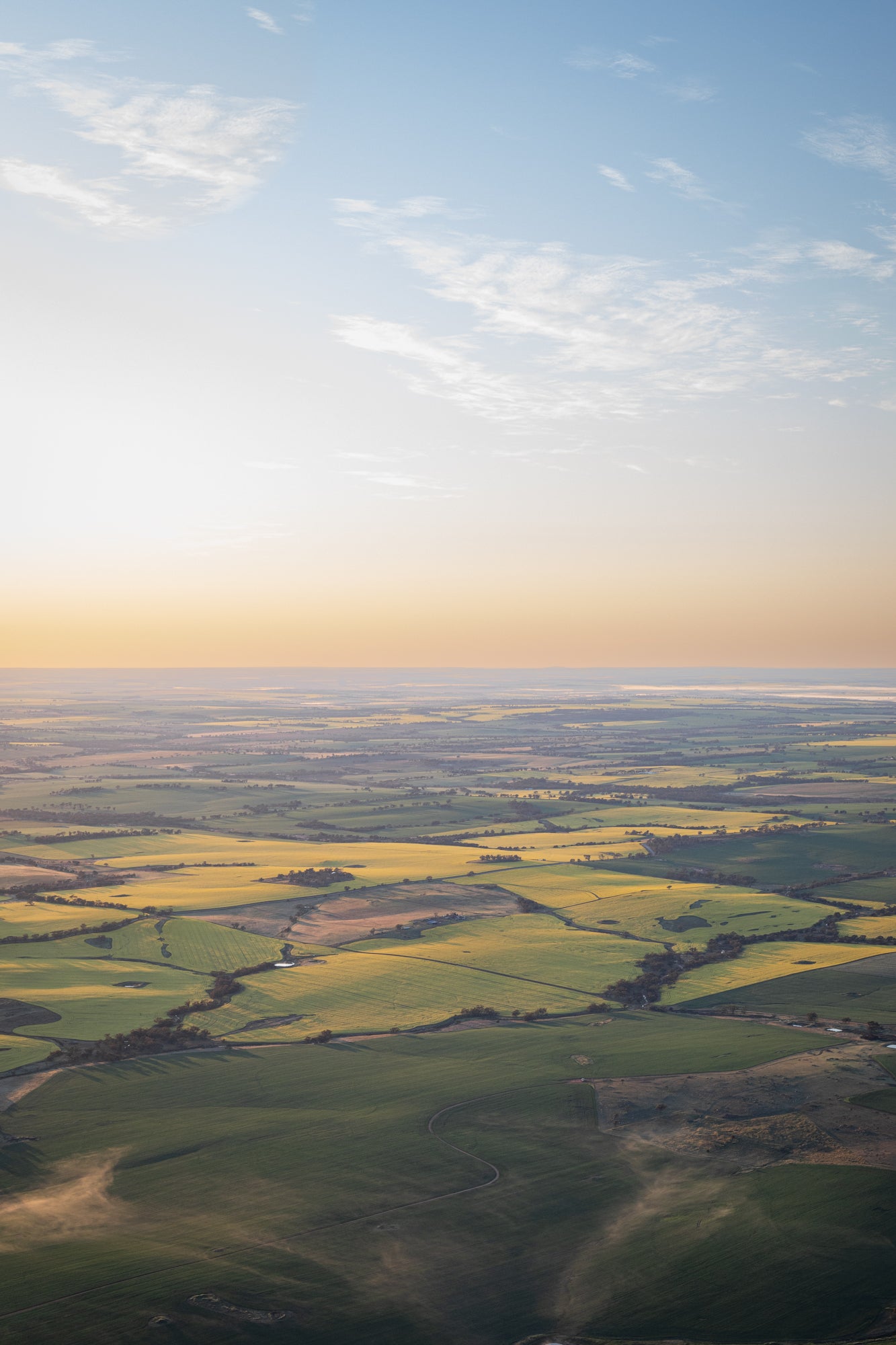 AVON SUNRISE