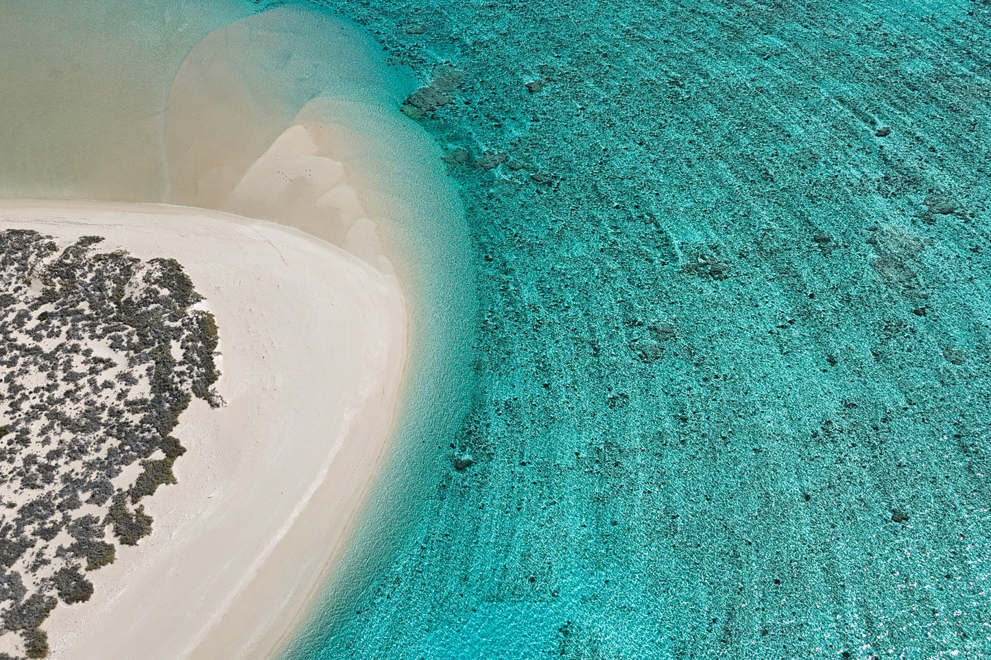 NINGALOO BLUES