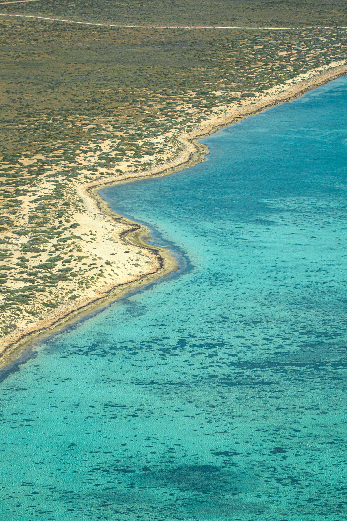 NINGALOO COAST