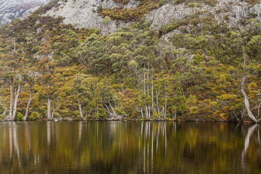 CRADLE MOUNTAIN REFLECTIONS