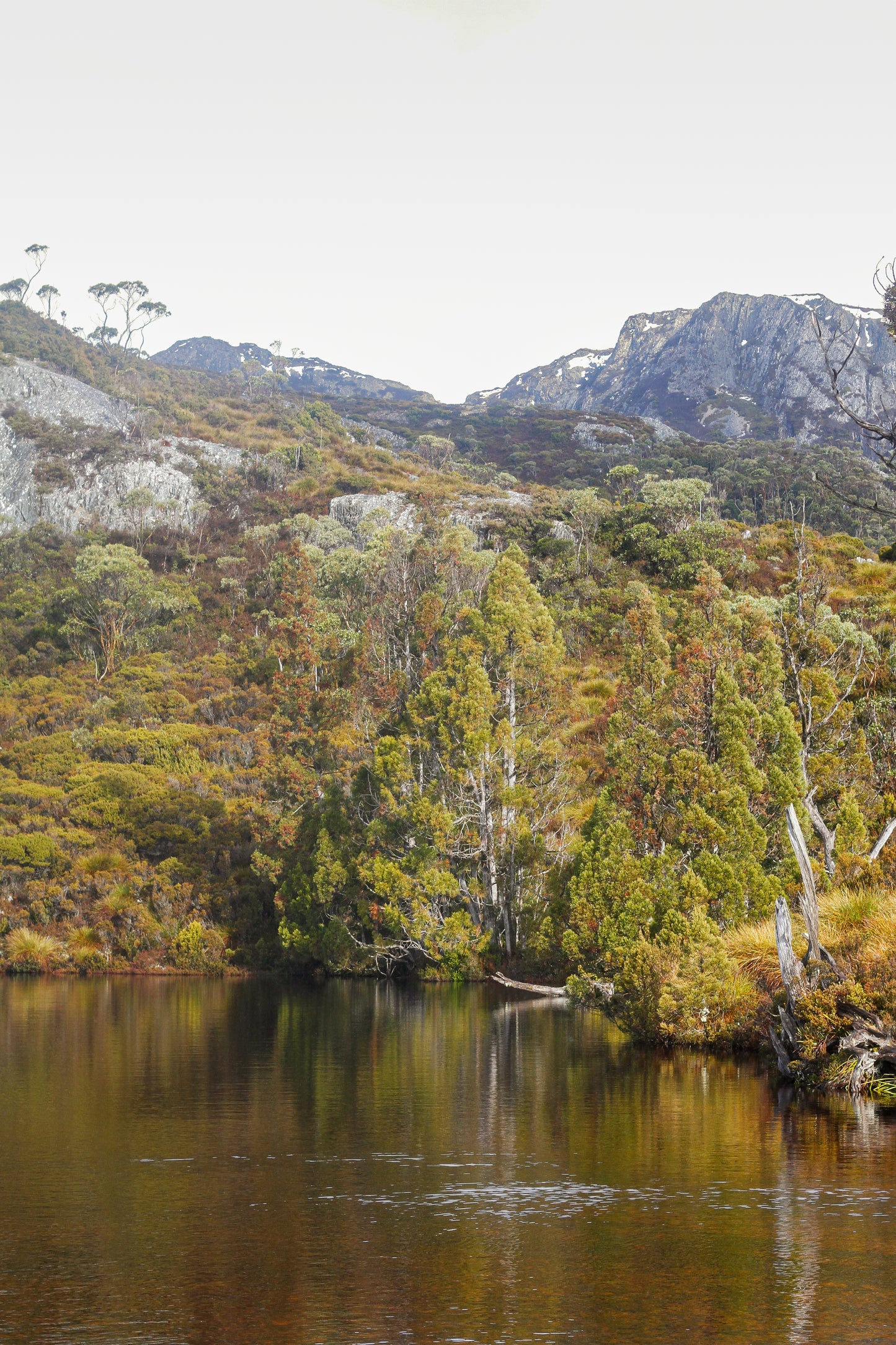 CRADLE MOUNTAIN COLOURS