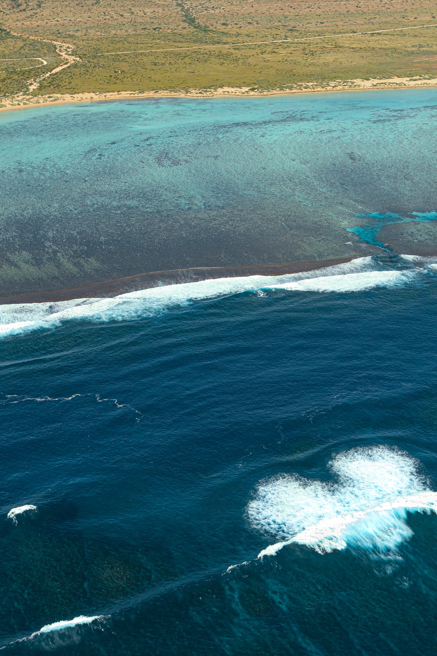 NINGALOO HEART